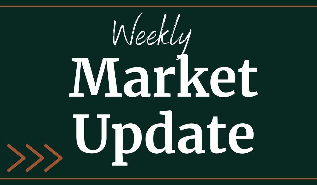 Weekly Market Update 2-20-24